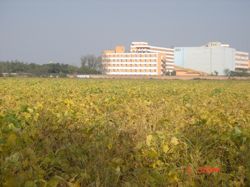 点击在新窗口中打开