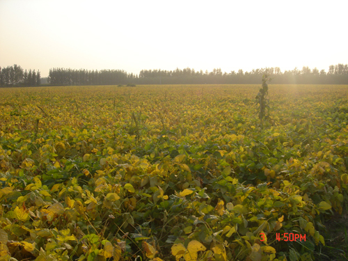 点击在新窗口中打开