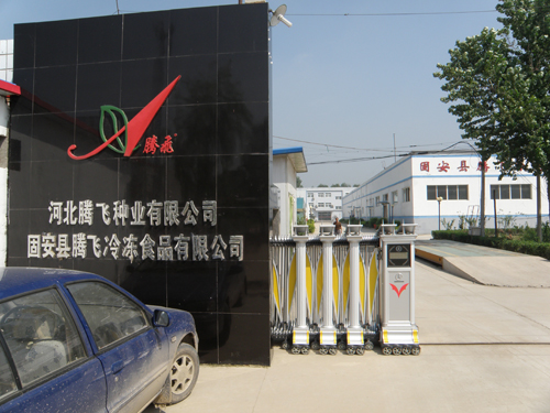 点击在新窗口中打开