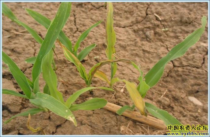 点击在新窗口中打开