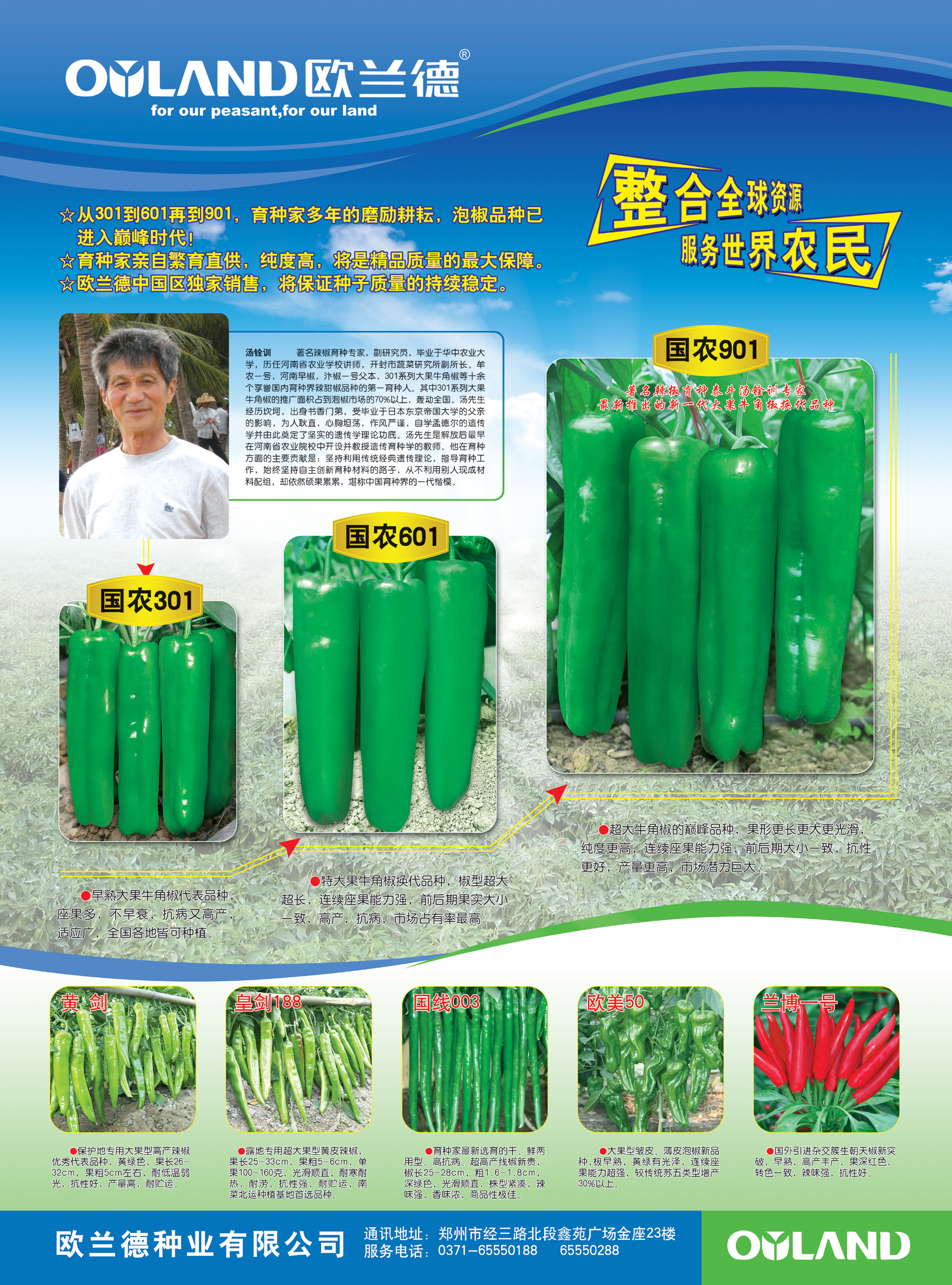 点击在新窗口中打开