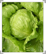 点击在新窗口中打开