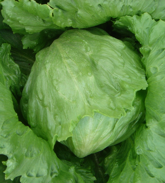 点击在新窗口中打开