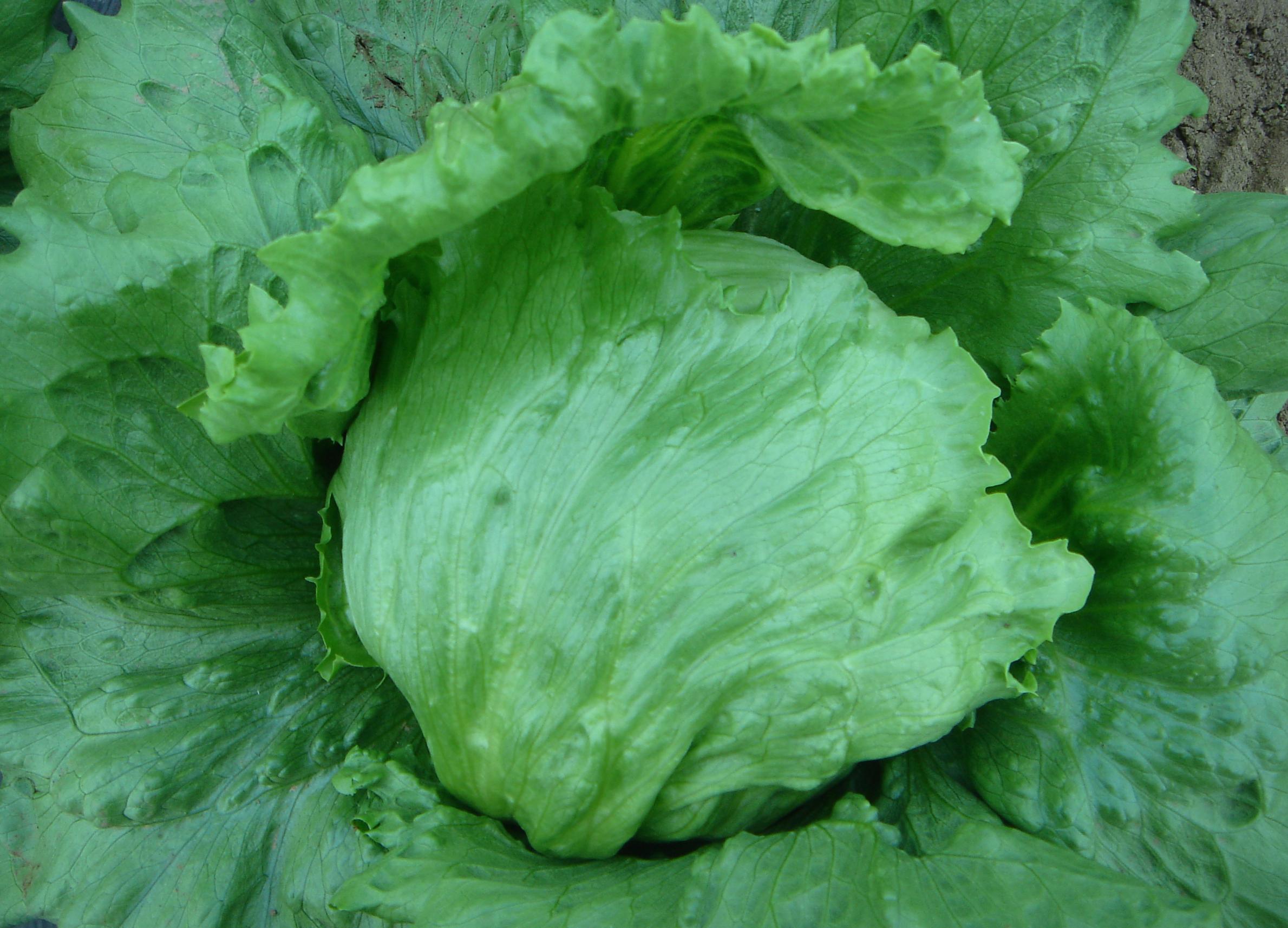 点击在新窗口中打开