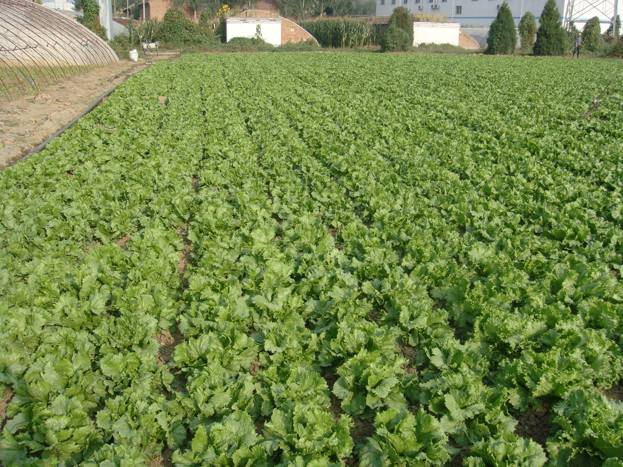 点击在新窗口中打开