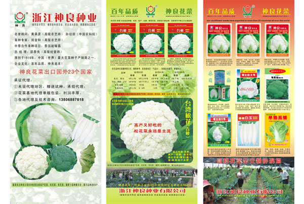 点击在新窗口中打开