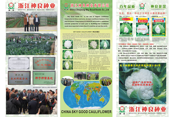 点击在新窗口中打开