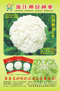 点击在新窗口中打开