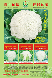 点击在新窗口中打开