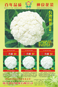 点击在新窗口中打开