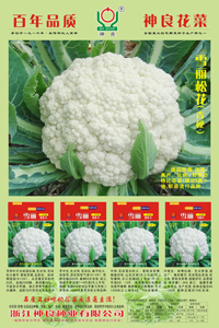 点击在新窗口中打开