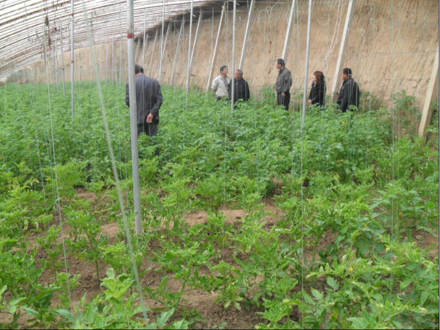 点击在新窗口中打开