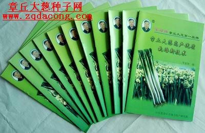 点击在新窗口中打开