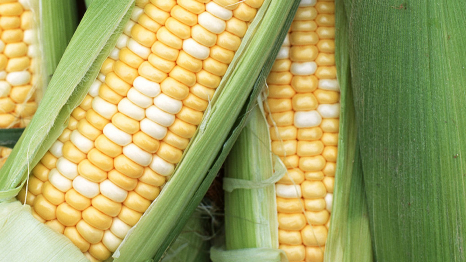 点击在新窗口中打开