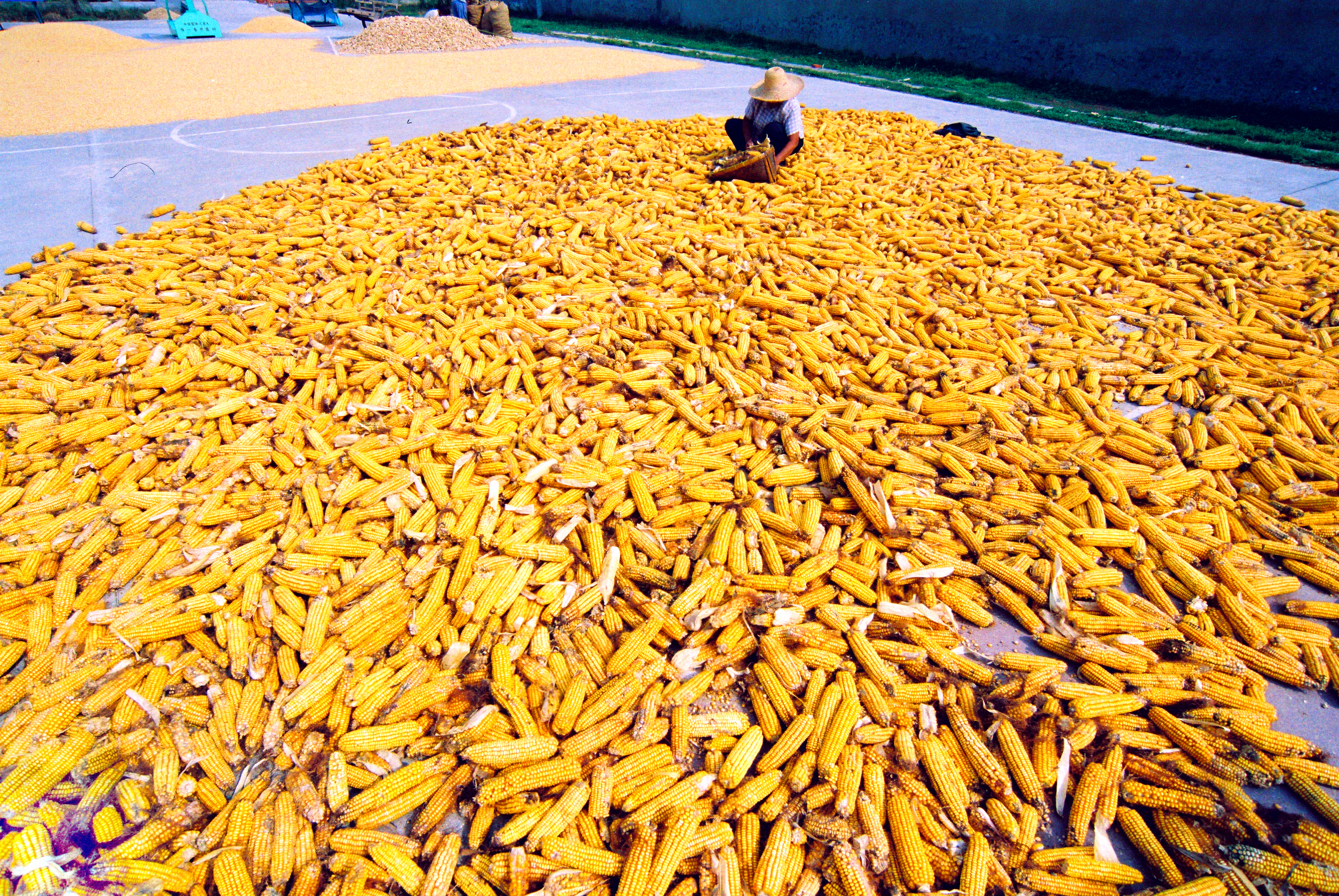 点击在新窗口中打开