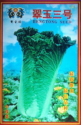 点击在新窗口中打开