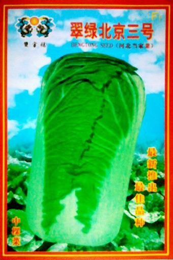 点击在新窗口中打开