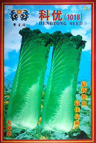 点击在新窗口中打开