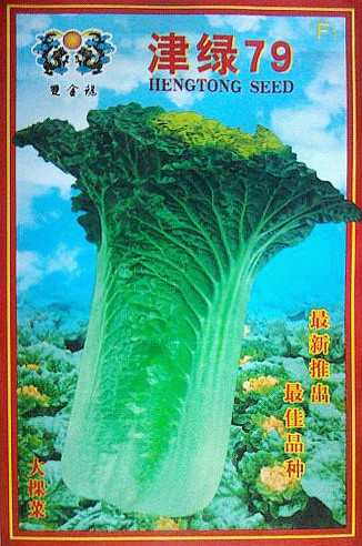 点击在新窗口中打开