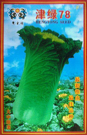 点击在新窗口中打开