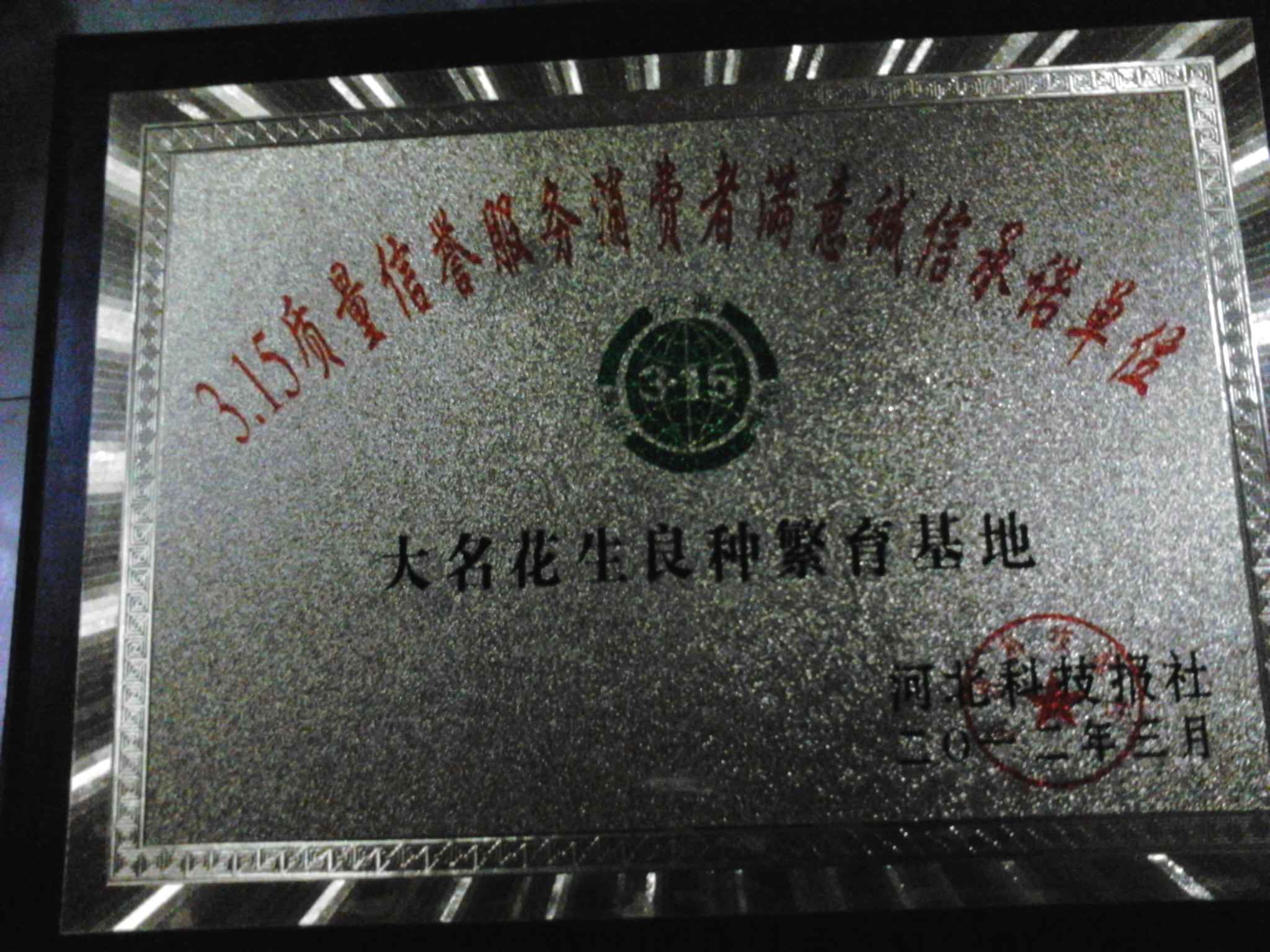 点击在新窗口中打开