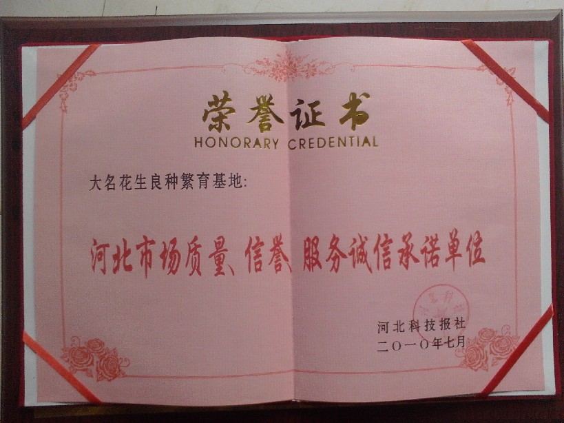 点击在新窗口中打开