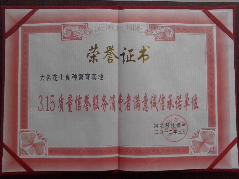 点击在新窗口中打开