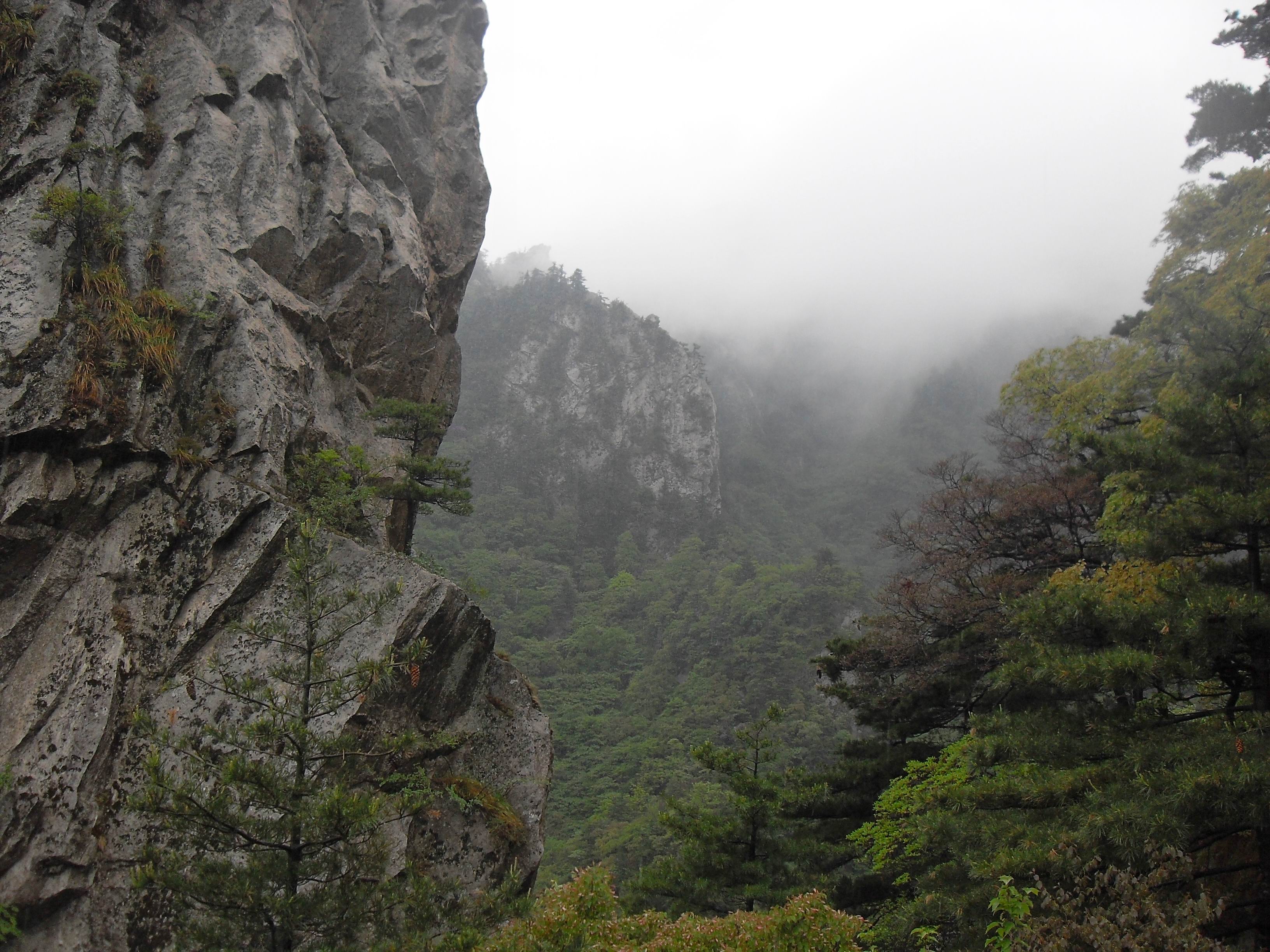 点击在新窗口中打开