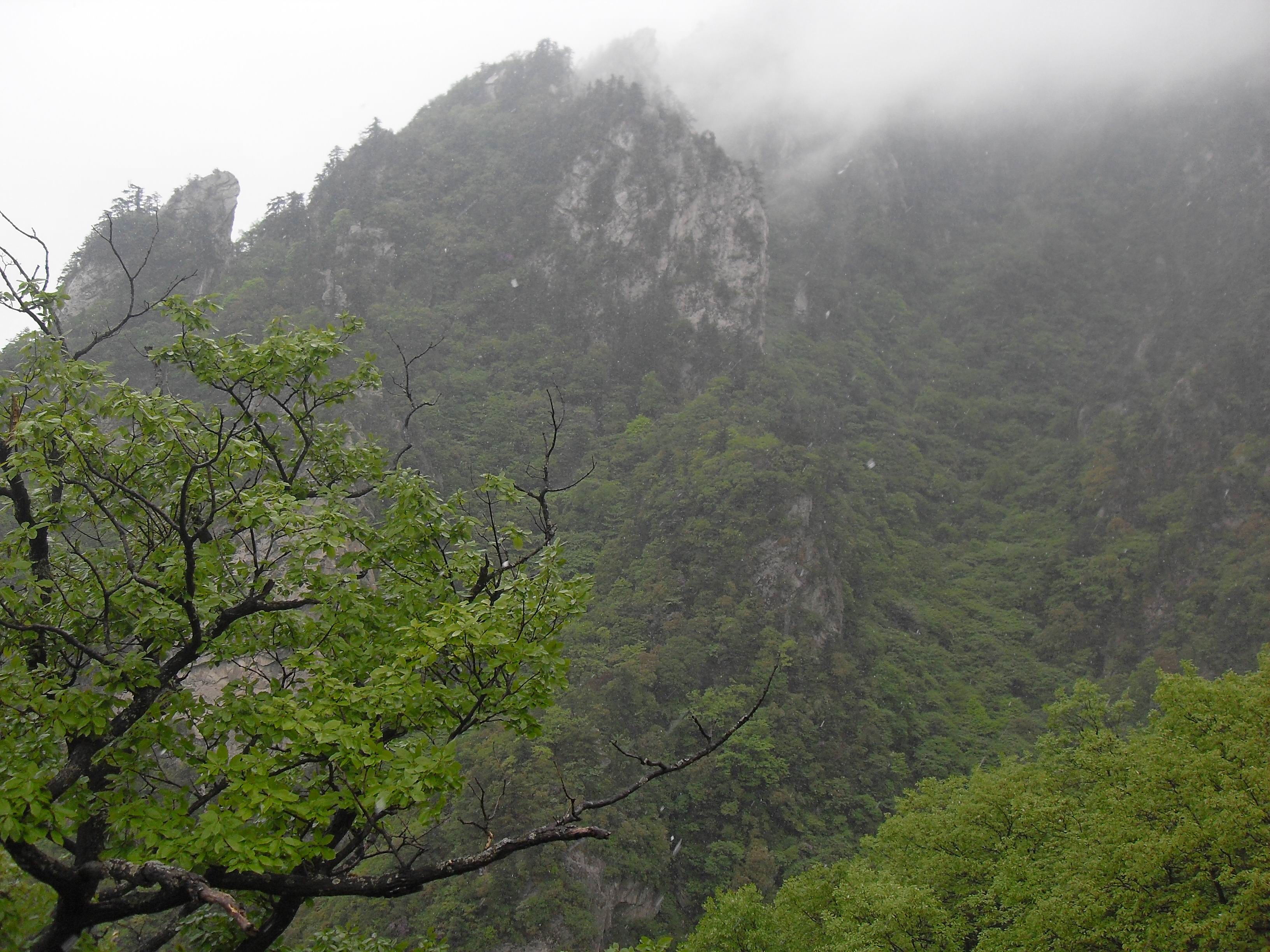 点击在新窗口中打开