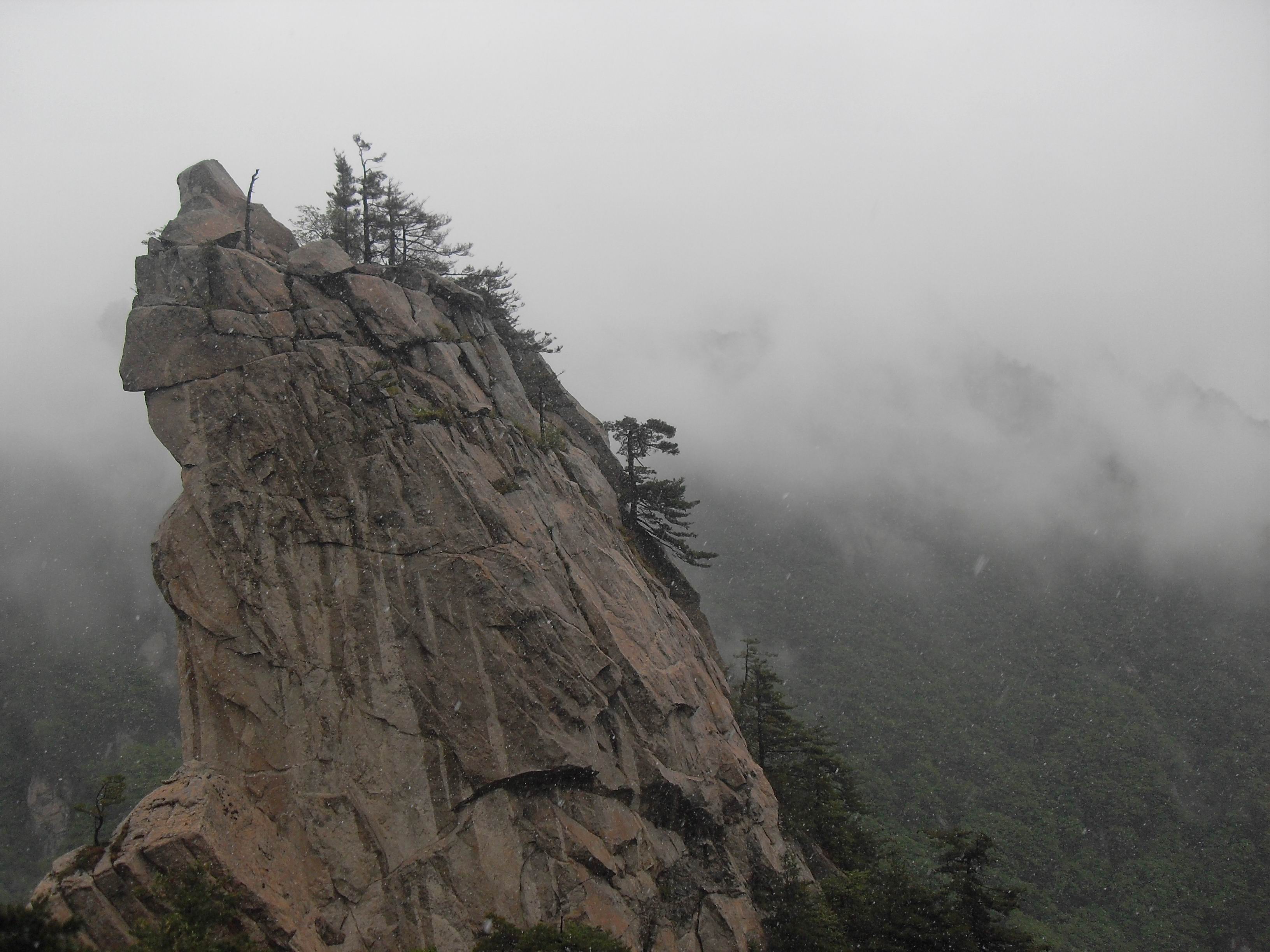 点击在新窗口中打开