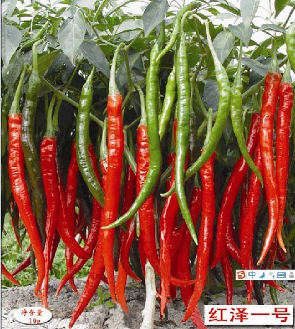 点击在新窗口中打开