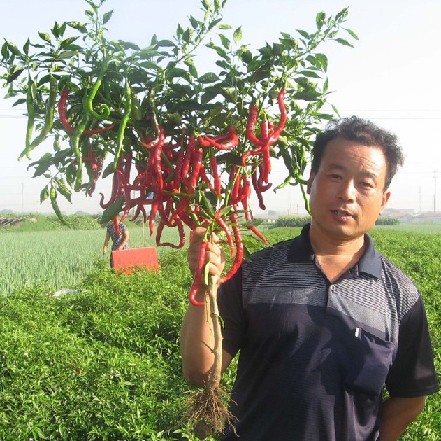 点击在新窗口中打开