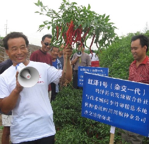 点击在新窗口中打开