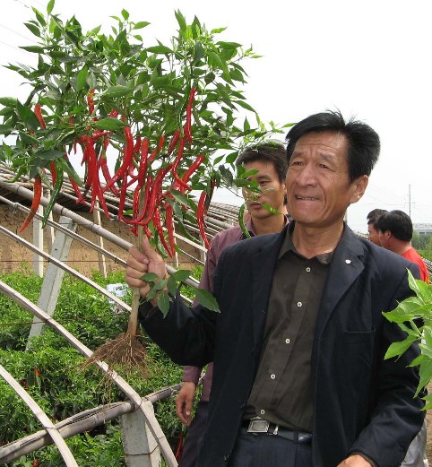 点击在新窗口中打开