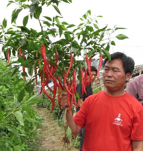 点击在新窗口中打开