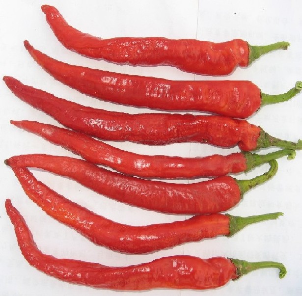 点击在新窗口中打开