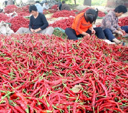 点击在新窗口中打开