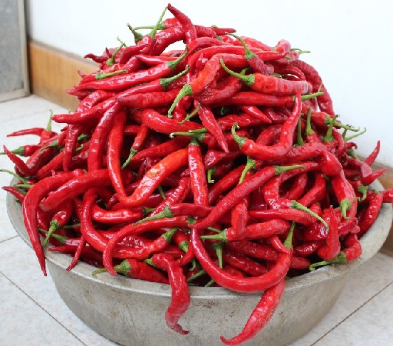 点击在新窗口中打开