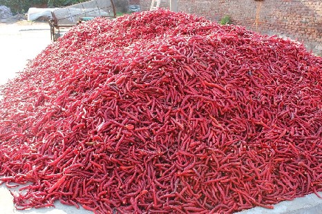 点击在新窗口中打开