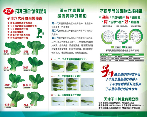 点击在新窗口中打开