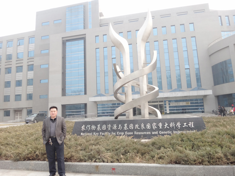 点击在新窗口中打开