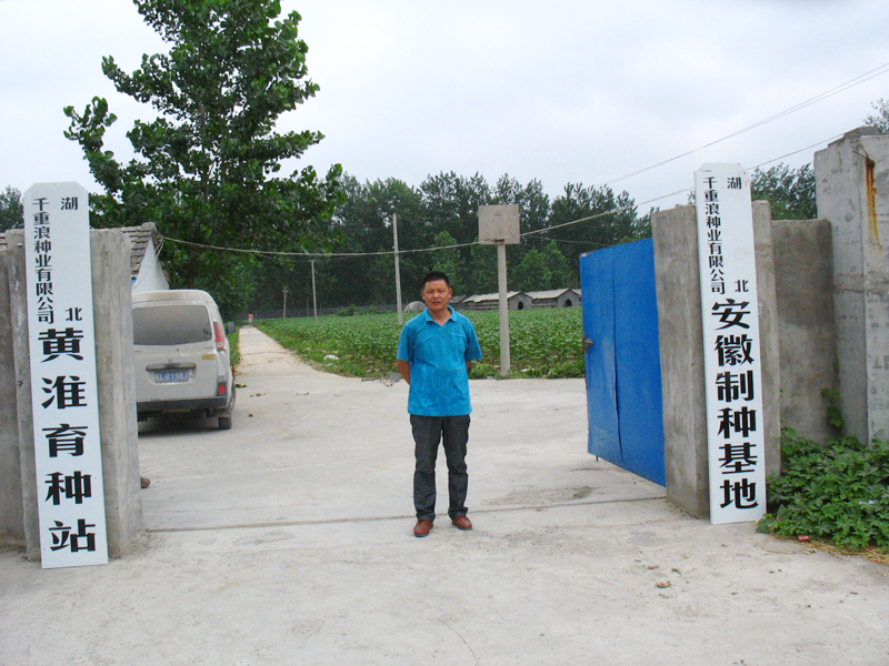 点击在新窗口中打开