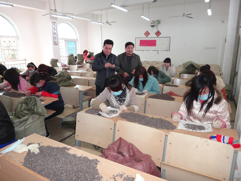 点击在新窗口中打开