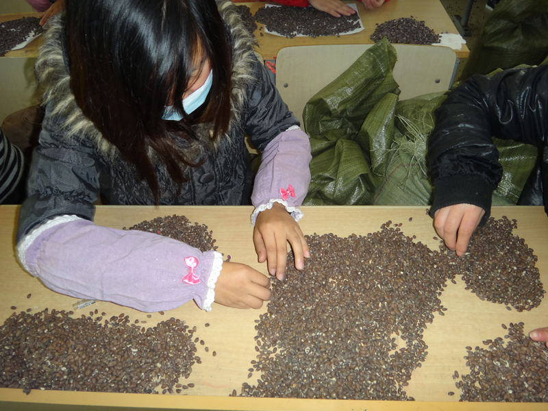 点击在新窗口中打开