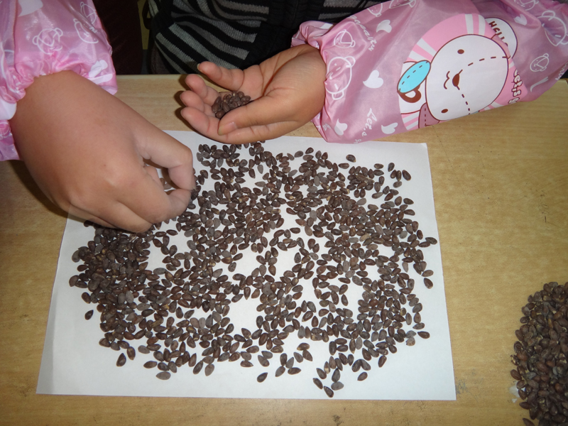 点击在新窗口中打开