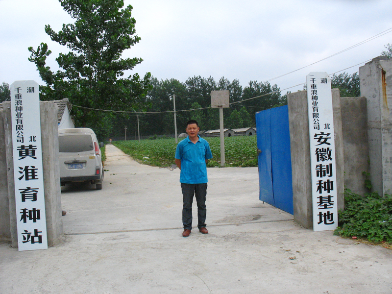 点击在新窗口中打开