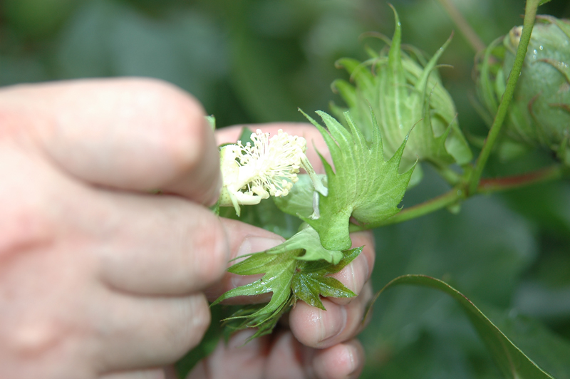 点击在新窗口中打开
