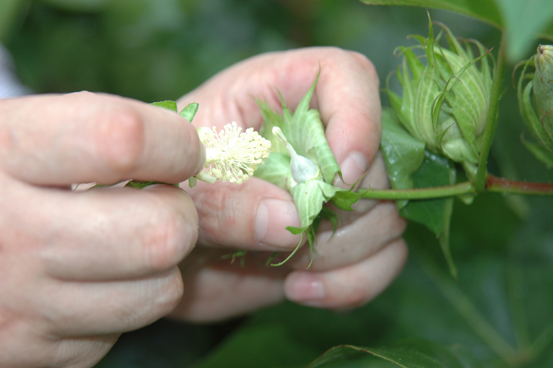 点击在新窗口中打开