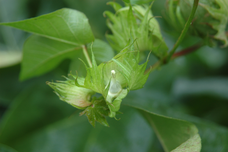 点击在新窗口中打开