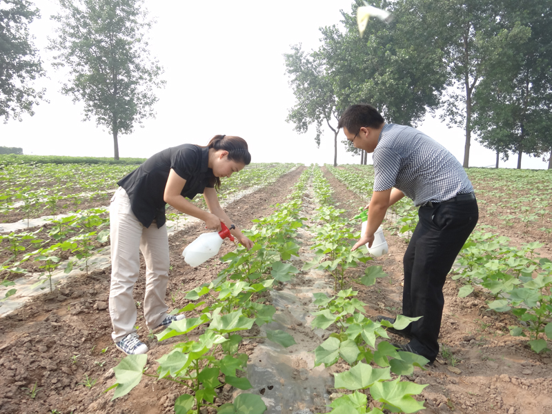 点击在新窗口中打开